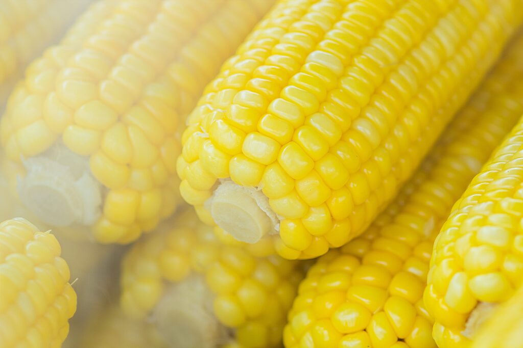 https://ecopearth.com/benefits-of-corn-is-suitable-for-diabetics/