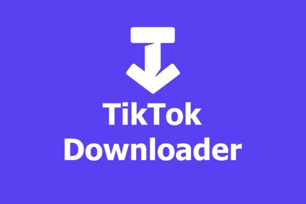 ssstik io | Your Ultimate Video DOWN-LOADER